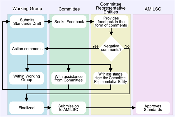 Standards Publishing Process